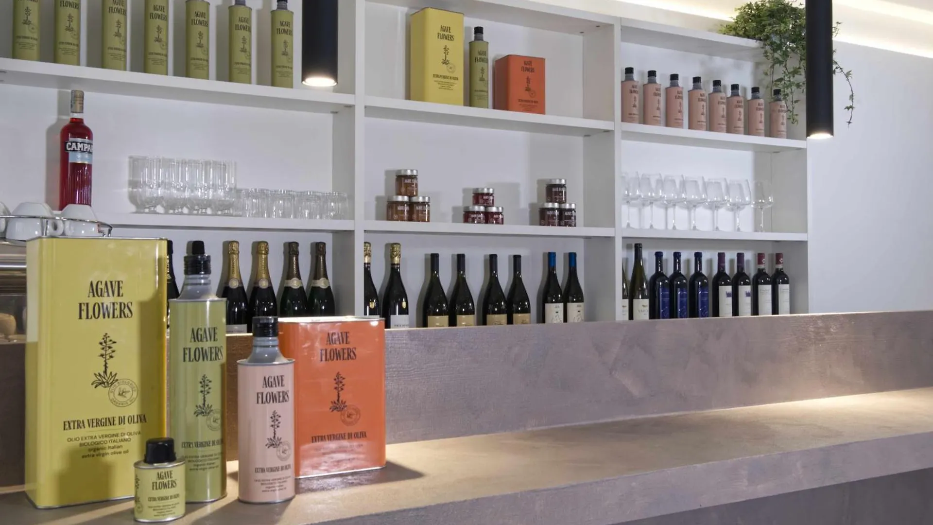 Agave In Centrale Mailand Italien